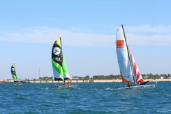 Voile